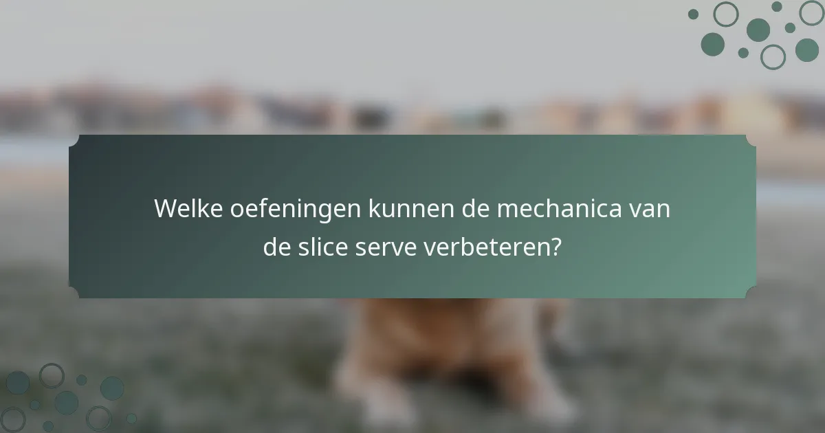 Welke oefeningen kunnen de mechanica van de slice serve verbeteren?